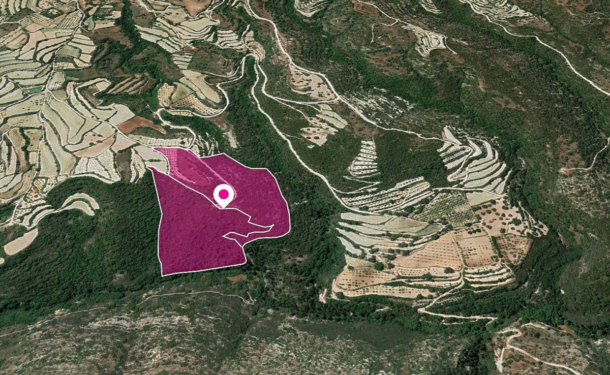 Land in Koili - Image 2