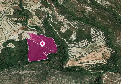 Koili, Paphos Agricultural Land For Sale | DT1145