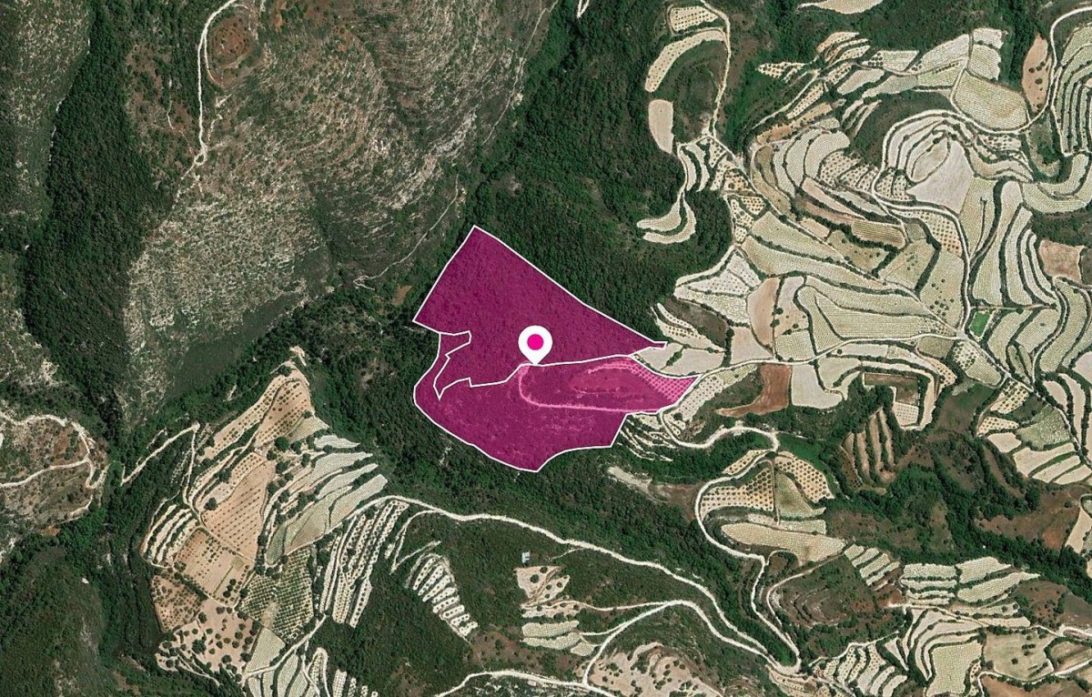 Land in Koili - Image 3