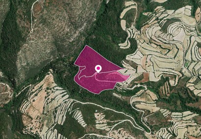 Koili, Paphos Agricultural Land For Sale | DT1145