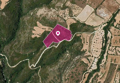 Kritou Tera, Paphos Agricultural Land For Sale | DT1147