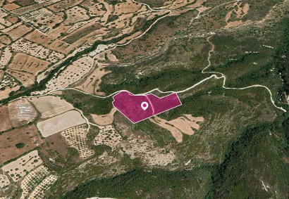 Kritou Tera, Paphos Agricultural Land For Sale | DT1147