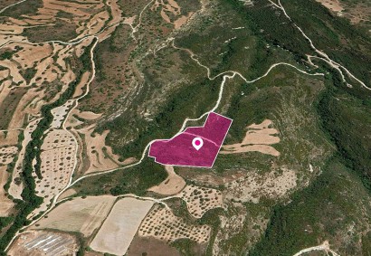Kritou Tera, Paphos Agricultural Land For Sale | DT1147