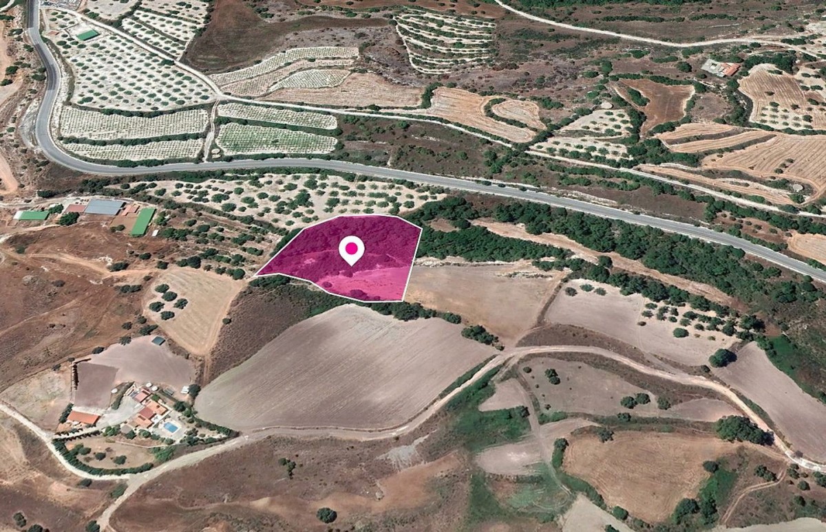 Simou, Paphos Agricultural Land For Sale | DT1150