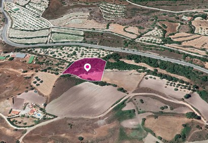 Simou, Paphos Agricultural Land For Sale | DT1150