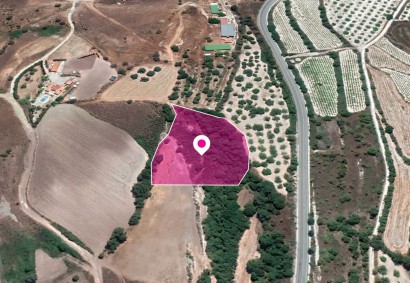 Simou, Paphos Agricultural Land For Sale | DT1150