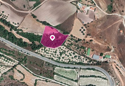 Simou, Paphos Agricultural Land For Sale | DT1150