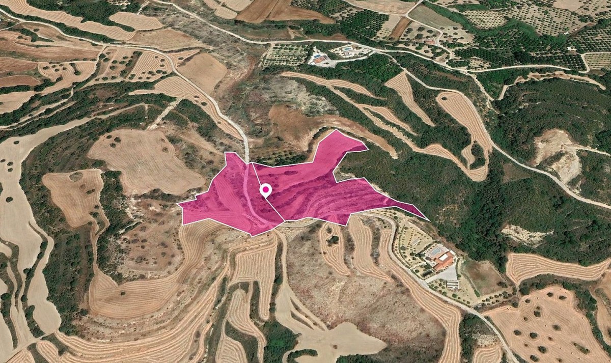 Skoulli, Paphos Agricultural Land For Sale | DT1159