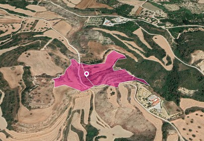 Skoulli, Paphos Agricultural Land For Sale | DT1159