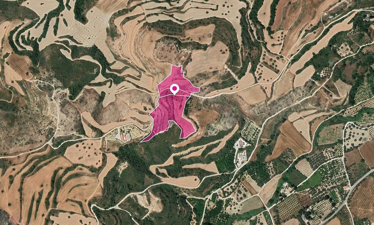 Shared Agricultural Fields, Skoulli, Paphos
