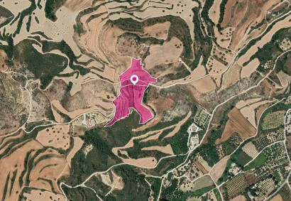 Skoulli, Paphos Agricultural Land For Sale | DT1159