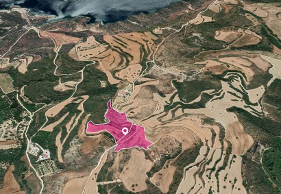 Skoulli, Paphos Agricultural Land For Sale | DT1159