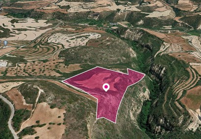 Kritou Tera, Paphos Agricultural Land For Sale | DT1164