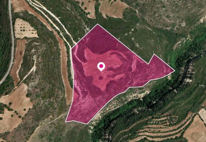 Kritou Tera, Paphos Agricultural Land For Sale | DT1164