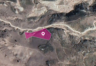 Kidasi, Paphos Agricultural Land For Sale | DT1166