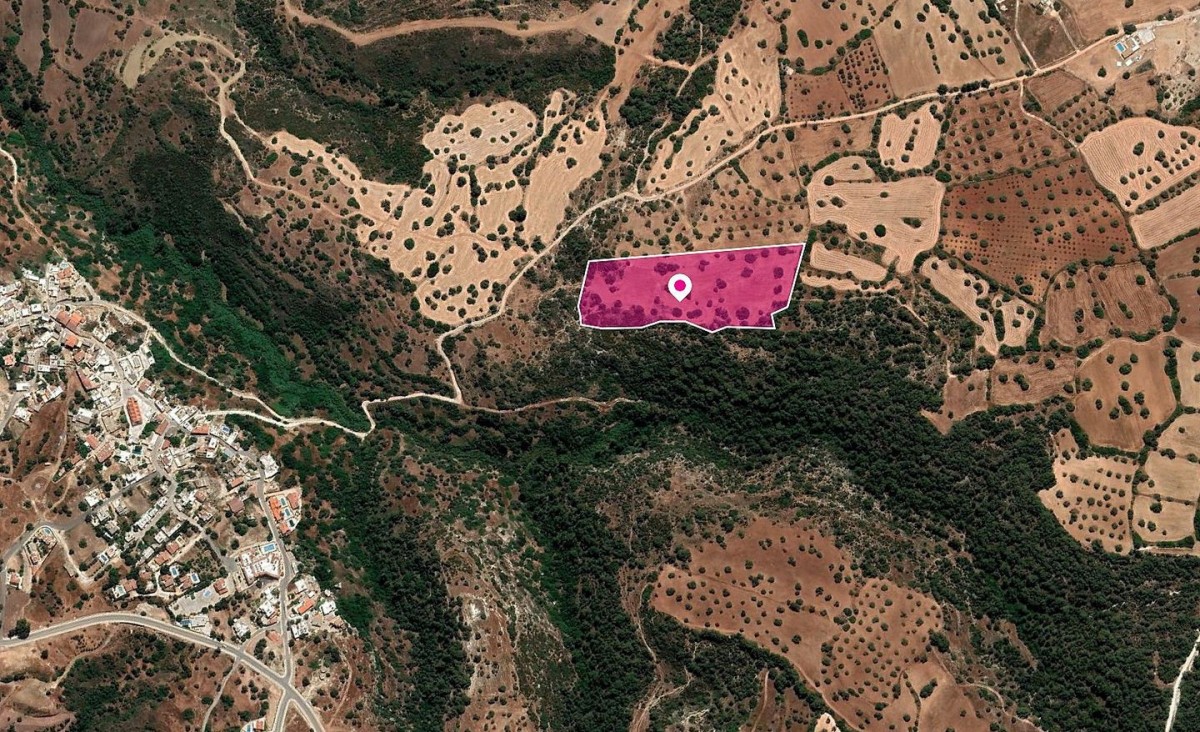 Neo Chorio, Paphos Agricultural Land For Sale | DT1175