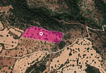 Neo Chorio, Paphos Agricultural Land For Sale | DT1175