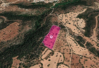 Neo Chorio, Paphos Agricultural Land For Sale | DT1175