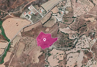Nata, Paphos Agricultural Land For Sale | DT1177