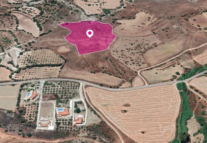 Nata, Paphos Agricultural Land For Sale | DT1177