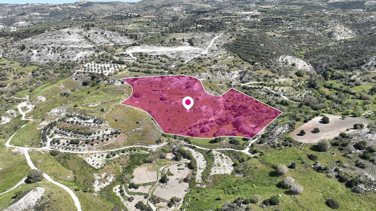 Mesa Chorio, Paphos Agricultural Land For Sale | DT1181