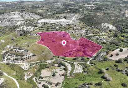 Mesa Chorio, Paphos Agricultural Land For Sale | DT1181