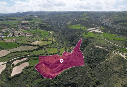 Akourdaleia Pano, Paphos Residential Land For Sale | DT1182