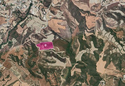 Steni, Paphos Agricultural Land For Sale | DT1199