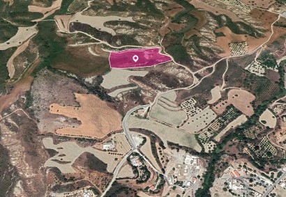 Steni, Paphos Agricultural Land For Sale | DT1199