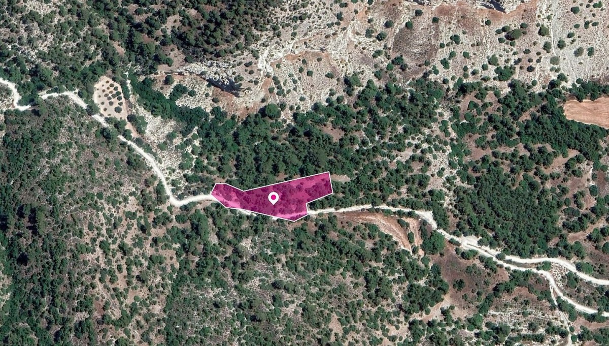 Amargeti, Paphos Agricultural Land For Sale | DT1200