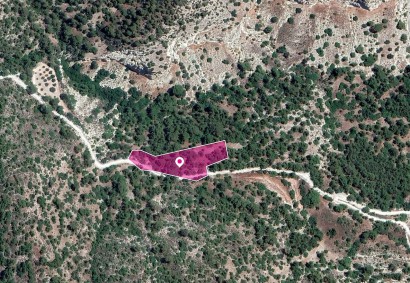 Amargeti, Paphos Agricultural Land For Sale | DT1200