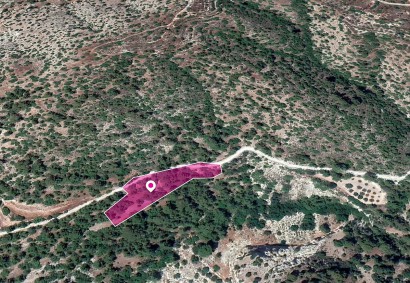 Amargeti, Paphos Agricultural Land For Sale | DT1200