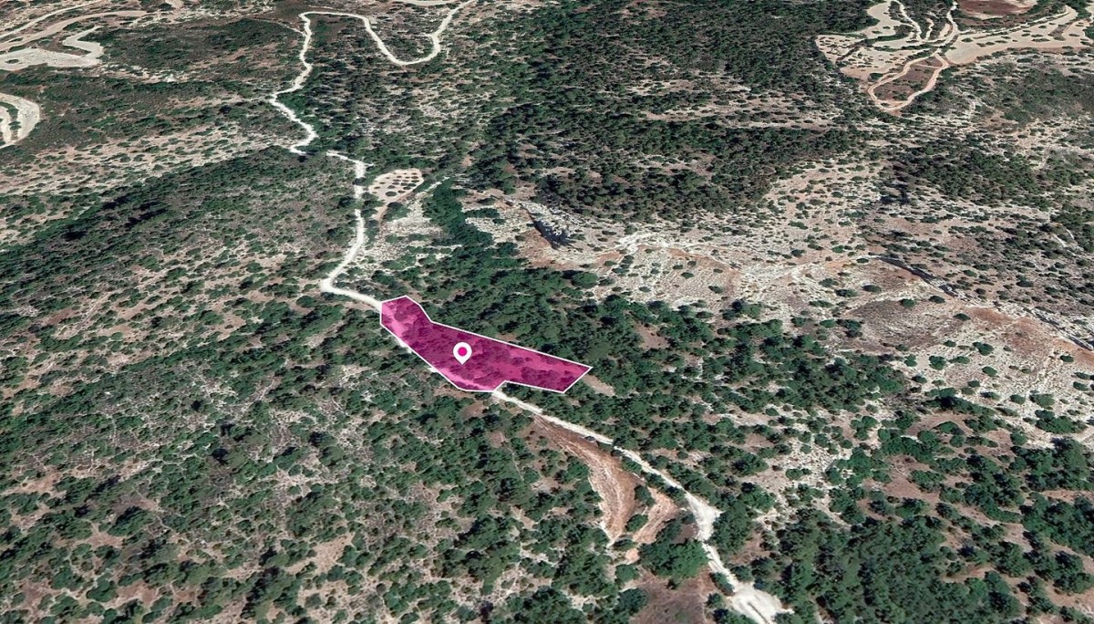 Field in Amargeti, Paphos