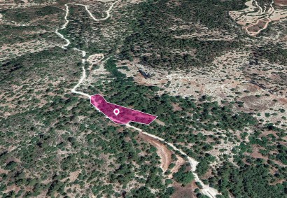 Amargeti, Paphos Agricultural Land For Sale | DT1200
