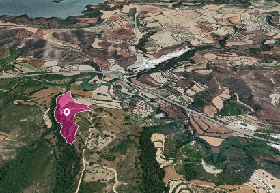 Loukrounou, Paphos Agricultural Land For Sale | DT1203