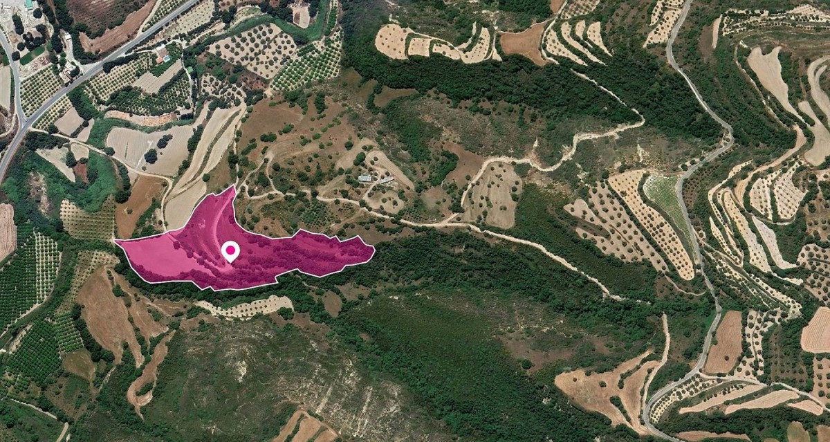 Field in Loukrounou, Paphos