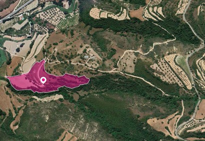 Loukrounou, Paphos Agricultural Land For Sale | DT1203