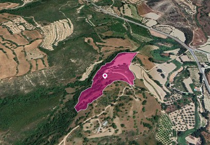 Loukrounou, Paphos Agricultural Land For Sale | DT1203