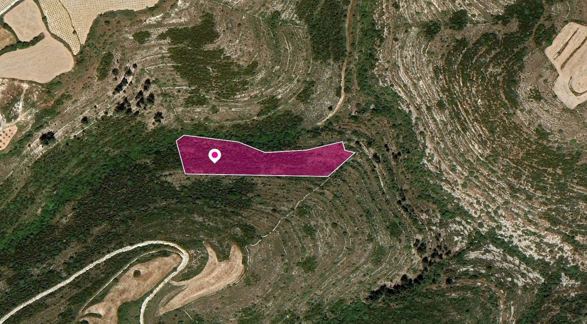 Kathikas, Paphos Agricultural Land For Sale | DT1210