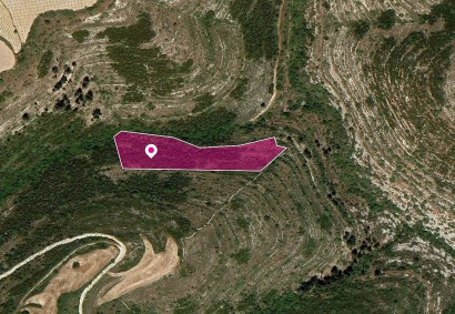 Kathikas, Paphos Agricultural Land For Sale | DT1210