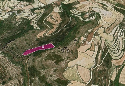 Kathikas, Paphos Agricultural Land For Sale | DT1210