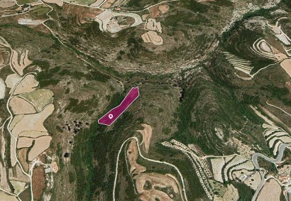 Kathikas, Paphos Agricultural Land For Sale | DT1210