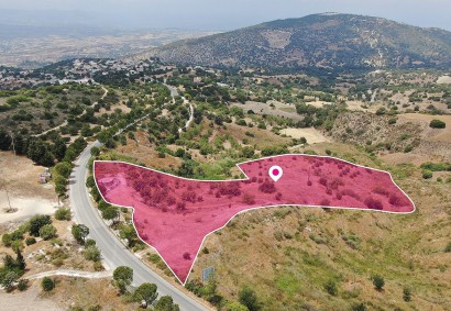 Meladeia, Paphos Agricultural Land For Sale | DT1217