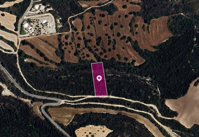 Kritou Tera, Paphos Agricultural Land For Sale | DT1231