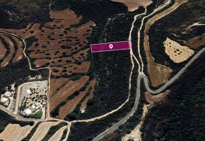 Kritou Tera, Paphos Agricultural Land For Sale | DT1231