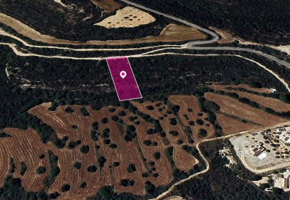 Kritou Tera, Paphos Agricultural Land For Sale | DT1231