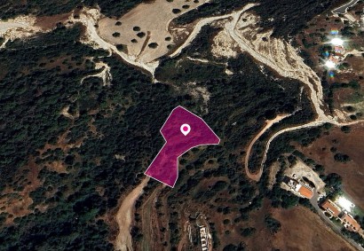 Neo Chorio, Paphos Agricultural Land For Sale | DT1241