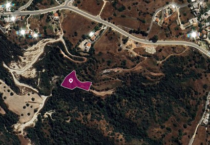Neo Chorio, Paphos Agricultural Land For Sale | DT1241