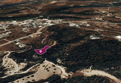 Neo Chorio, Paphos Agricultural Land For Sale | DT1241