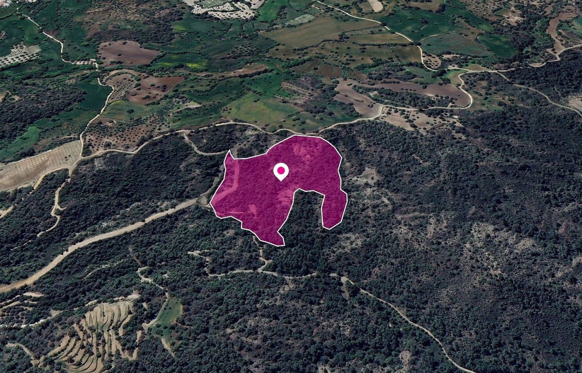 Lysos, Paphos Agricultural Land For Sale | DT1248